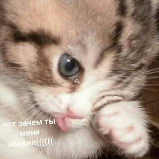 😓