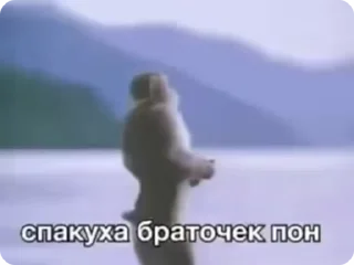 🌟