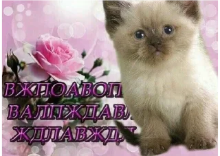 😌