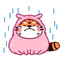 🌧