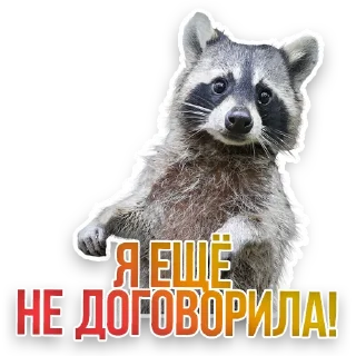 🦡