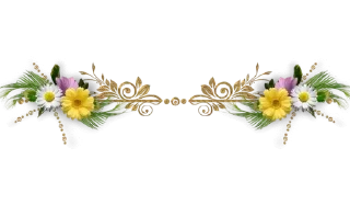 🌼