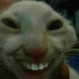 😂