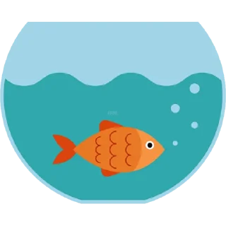 🐠