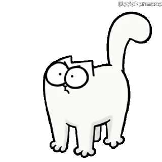 🐱