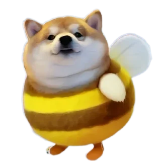 🐶