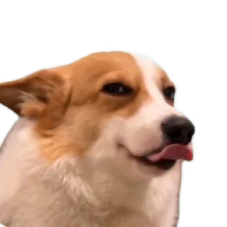 😉