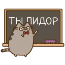 🐱