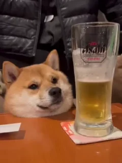 😁