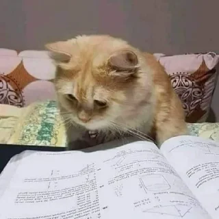 📝