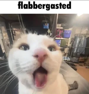 😮