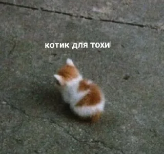 😌