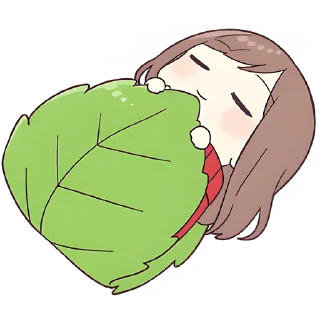 😴