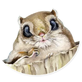 🐿
