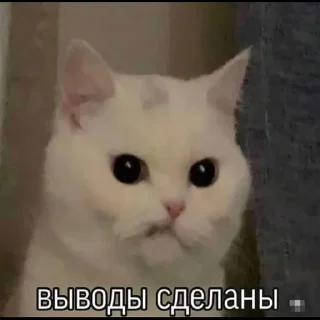 😑
