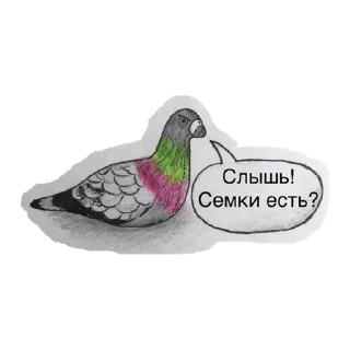 🕊