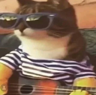 😎
