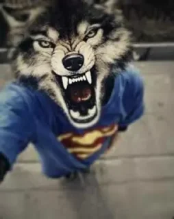 🐺