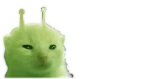🐈