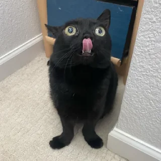 👅