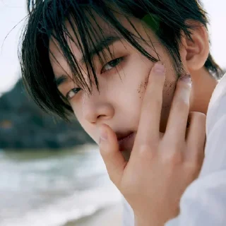 🐚
