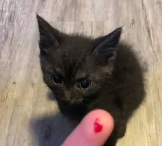 🤬