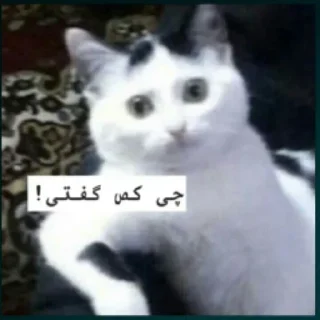 ❓
