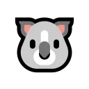 🐨