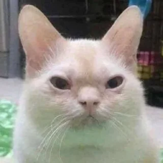 😐