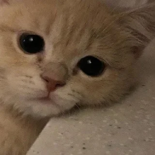 ☹️