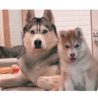 👍