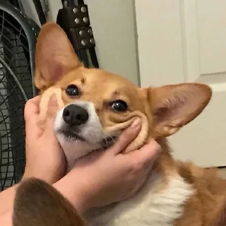 👀