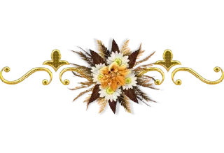 🌼