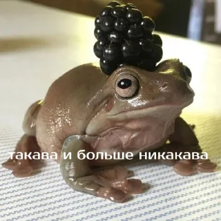 💅