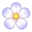 🌸