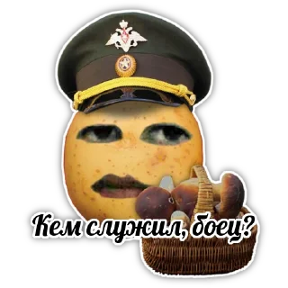 🍾