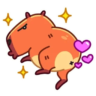 🌟
