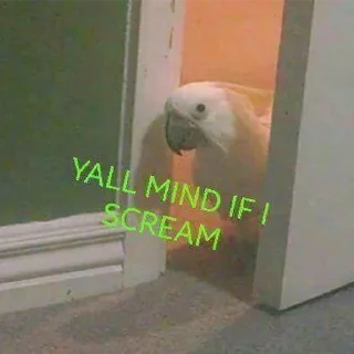 😱