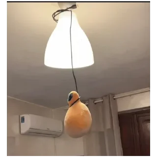 🍔