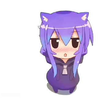 🐱