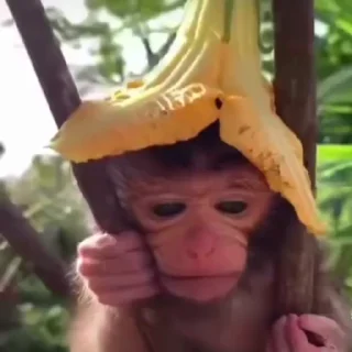 🥹