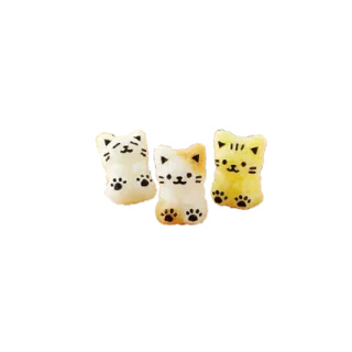 🐈
