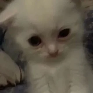 😜