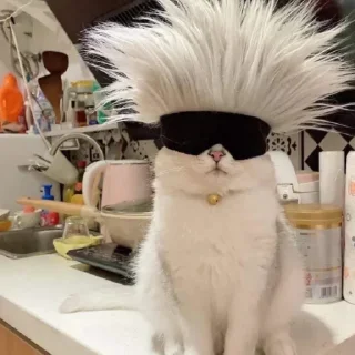 😎