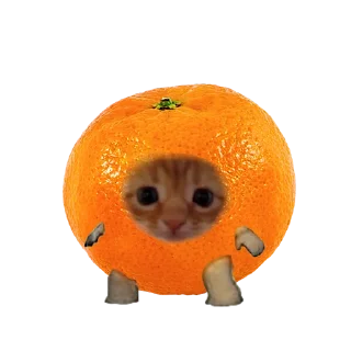 🍊