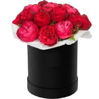 💐