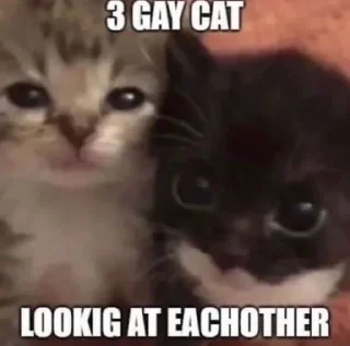🏳️‍🌈