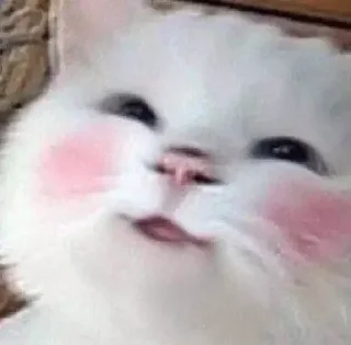☺️