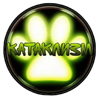 🐱