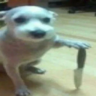 🤪